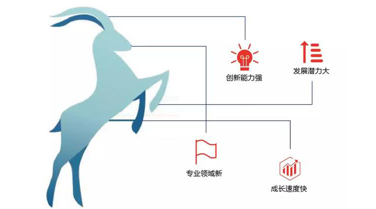 铁拓机械入选“2019年度泉州市瞪羚企业培育库入库企业”